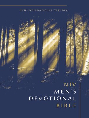 cover image of NIV, Men's Devotional Bible
